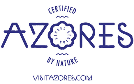 <p>In 2020, Bloom Consulting carried out two in-depth studies for Azores Promotion Bureau. First, to find out the touristic appeal and benchmark Azores performance against competitors. Second, to monitor all available online information about Azores as a tourism destination. Additionally, with these two studies in 2021 Bloom Consulting conducted the “World traveller” research for 10 markets, looking at the Azores tourists more closely.</p>
                                    <p>Bloom Consulting used two of their proprietary software – D2-Digital Demand© and D2-Digital Supply©. Both tools provided in-depth insights about Azores digital presence and online touristic behaviour towards itself and its competitors. For World Traveller analyses, Bloom Consulting used additional tools such as statistics from markets, questionnaires, and Micro segmentation measuring online interest by tourists from different markets.</p>
                                    <p>Results show who and from where touristic information was sought about Azores, as well as what results show up about Azores, who are the contributors, and what they write about. Most of the content is about “Natural Wonders”, “Adventure and Outdoor,” and “Gastro Activities”. At the same time, most people search for “Travel” and “Vacation”. All these results allowed Azores to understand if their offers met the demand.</p>
                                    <p>It is important to mention that all World traveller data was made available online – so Azores Promotion Bureau were able to share this website with their stakeholders.</p>