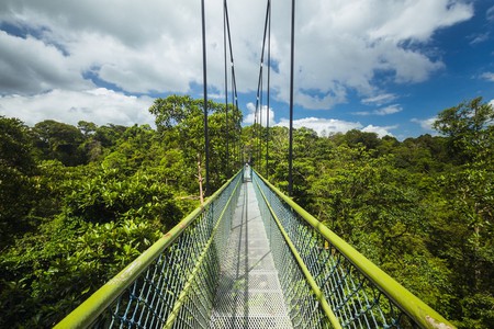 <p>In 2010 we were part of a multi-disciplinary team that prepared detailed development proposals for four RAMSAR designated eco-tourism sites in Johor State, in Southern Malaysia and Singapore.</p>
                                    <p>RAMSAR was the location for a major convention on Wetlands of International Importance held in 1971 which resulted in a Convention designed to protest such habitats. Four such sites had been established along the Johor Straight which separates the Island state of Singapore from the Southern Malaysian state of Johor.</p>
                                    <p>The objective of this project of Place Brand strategy was to explore the tourism development potential of linking the four sites, three in Johor and one on Singapore Island, as a linked destination for tourists who were interested in conserved and protected areas.</p>
                                    <p>The project involved assessing the existing facilities and potential of the four sites and identifying potential new offers to complement existing provision. In addition, work was undertaken to develop a logo and marketing colateral to identify the combined offer of the sites as a distinctive brand proposition. The working title of “Waterland” was given to the proposals.</p>
                                    <p>* Project led by Placematters before uniting with Bloom Consulting</p>