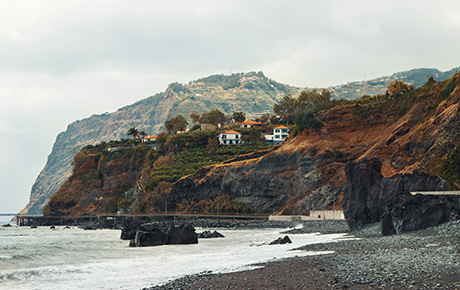 <p>The collaboration started in 2017, when the Madeira Tourism Promotion Bureau selected Bloom Consulting to analyze the status of the Madeira Destination Brand.</p>
                                    <p>Over the years, Bloom Consulting has assessed the rise in demand for tourist attractions, activities and other points of interest in the Madeira region across twenty specific markets, as well as its position amongst its main competitors. Bloom Consulting also carried out field research to better understand the perceptions of Madeira in those markets.</p>
                                    <p>The Madeira Promotion Bureau and all relevant parties now have access to digital tools, methodological solutions and shared information. This will allow for greater alignment with the Madeira Tourism strategy.</p>