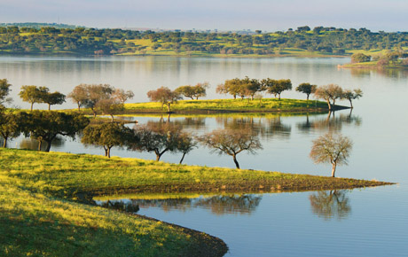 <p>A private Portuguese resort fund commissioned Bloom Consulting to develop a Place Brand strategy for Alqueva, a district in the South East of Portugal. The crucial challenge of the project was to promote the Region as a sustainable tourism destination.</p>
                                    <p>Bloom Consulting assessed, in detail, the way in which Alqueva’s tourism brand is perceived on a global scale. Our experts also examined the Region’s prominence and deduced that the Region fails to maintain significant presence or appeal on an international level. This conclusion inspired the creation of a new brand positioning for Alqueva, targeted towards a niche tourism segment across seven different Regions.</p>
                                    <p>This project resulted in the formulation of a previously nonexistent Region Brand in collaboration with urban planners and architects. Bloom Consulting also developed recommendations for the successful implementation of the new branding strategy.</p>