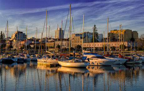 <p>A Figueira da Foz, um dos destinos mais proeminentes da costa atlântica portuguesa, está atenta aos novos desafios impostos pelos mercados nacional e internacional no âmbito da atração de turistas. Ciente de que para ser atraente e competitivo, um destino deve gerir e promover estrategicamente os seus ativos únicos, o município da Figueira da Foz, contactou a Bloom Consulting para obter uma análise detalhada do seu desempenho enquanto destino turístico.</p>
                                    <p>Com recurso à ferramenta Digital Demand - D2©, realizámos uma análise cuidada do apelo da Figueira da Foz, nos níveis individual e regional, assim como no contexto dos principais competidores. Das conclusões deste estudo, resultaram várias recomendações estratégicas com o objetivo de ajudar o município a tornar-se mais procurado e desejado, nos mercados interno e externo de turistas, investidores, e talentos, entre outros.</p>